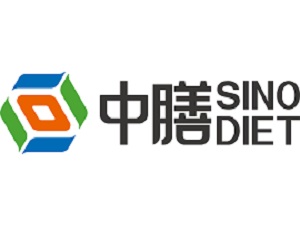 1000T伺服電動螺旋壓磚機生產滑板磚